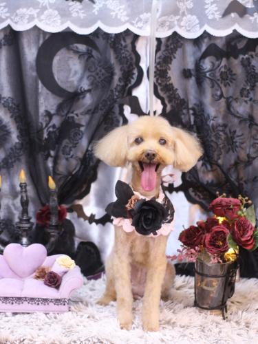 20231025菜々歌ちゃん